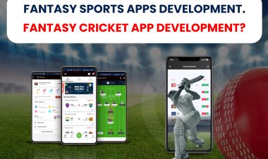 Fantasy Sports Apps Development. | Complete information about Fantasy Sports Apps and Fantasy Cricket App? 