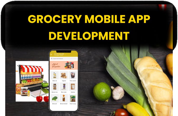 Grocery Mobile App Development? | Grocery App Kaise Banaye?