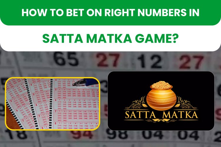 How to Bet on Right Numbers in Satta Matka Game? 