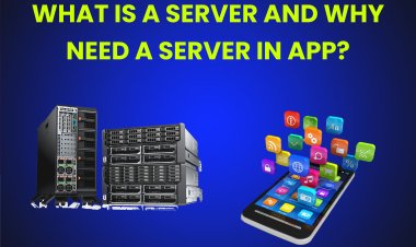 What is a server and Why need a server in app?