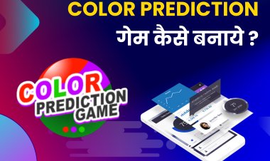 How much does it cost to make a Colour Prediction Game? | Color Prediction Game Formula and Tricks.