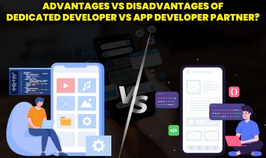 Advantages vs Disadvantages of Dedicated Developer vs App Developer Partner?