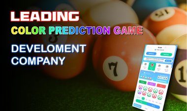 Leading Color Prediction Game Development Company.
