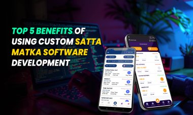 Top 5 Benefits of Using Custom Satta Matka Software Development.