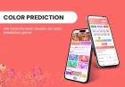 Color Prediction Game Development | 91 Club Colour Prediction Game App.