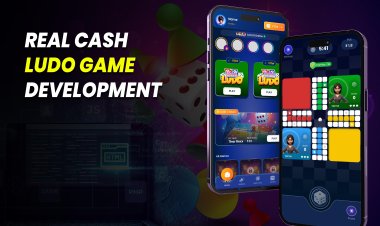 Real Cash Ludo Game Development.