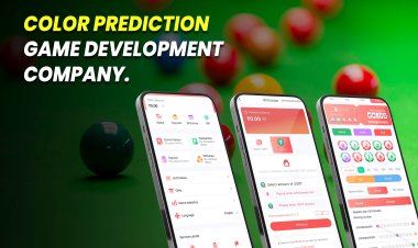 How to Develop a Color Prediction Game in 2025.