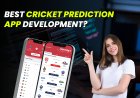Best cricket prediction app development?