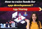 How to Raise Funds for App Development?